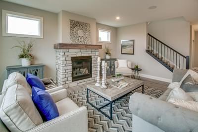 5br New Home in Woodbury, MN