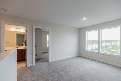 4br New Home in Woodbury, MN